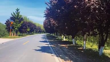 自然景观公路4K高清实拍视频素材视频的预览图
